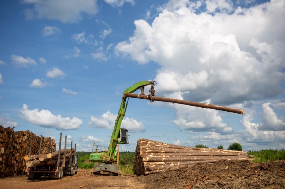 Timber Quote